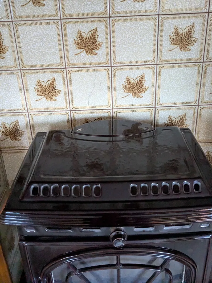 Stanley Multi Fuel & Boiler Stove - Image 3