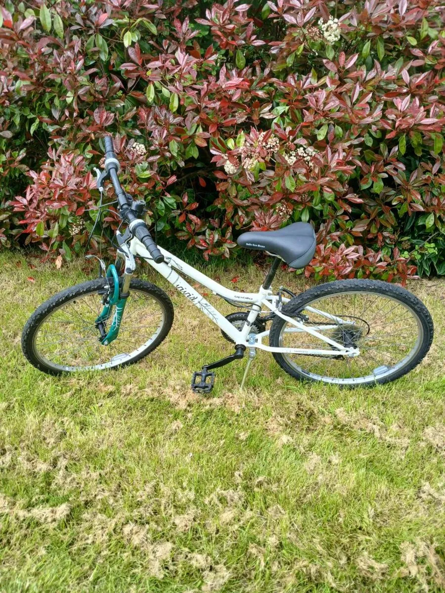 Girls bike €100