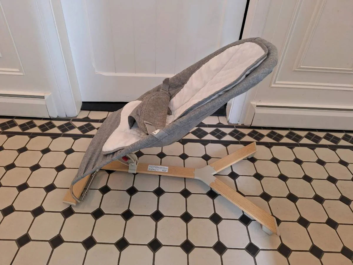 Nested Noa Baby Bouncer - Image 2