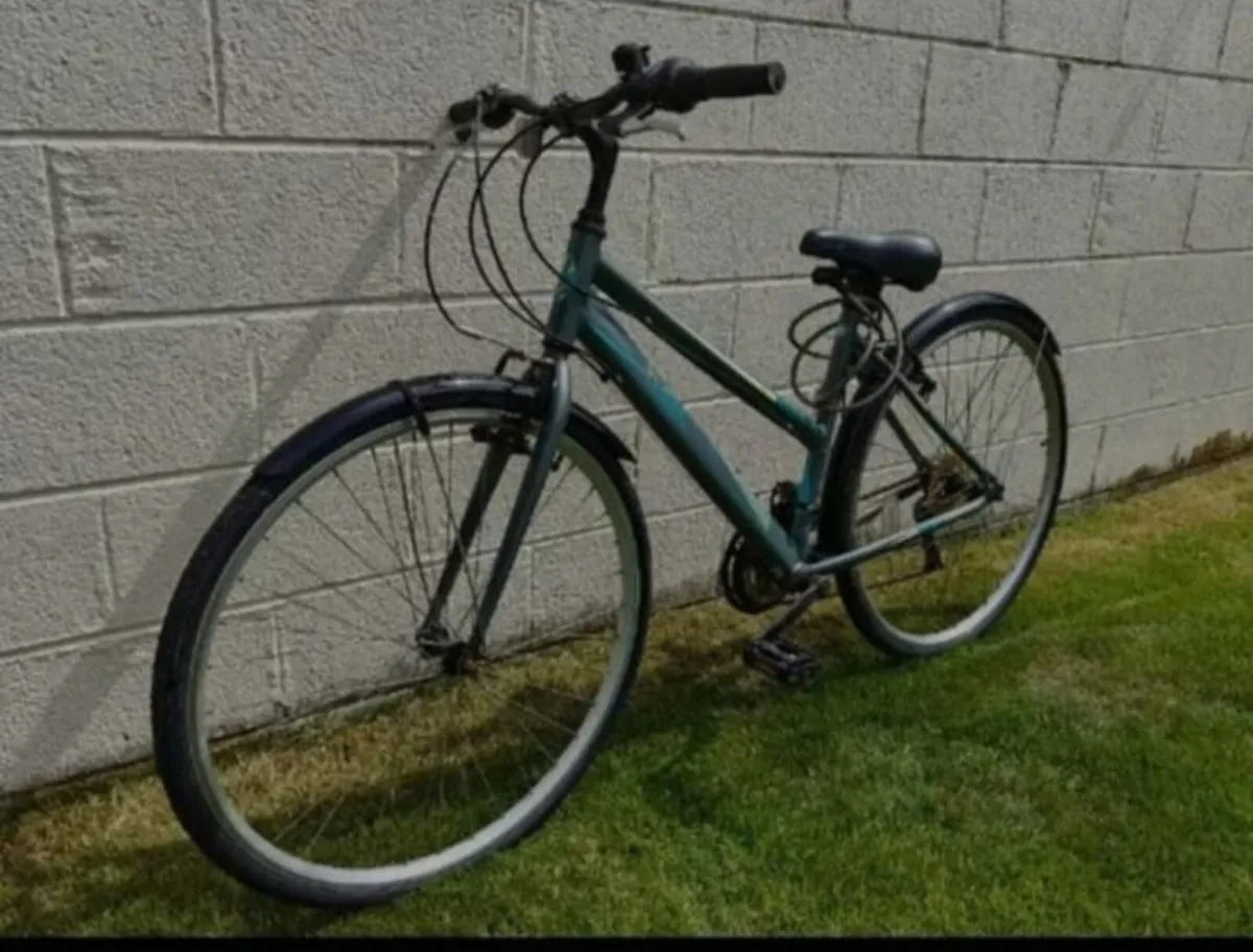 Ladies Bike