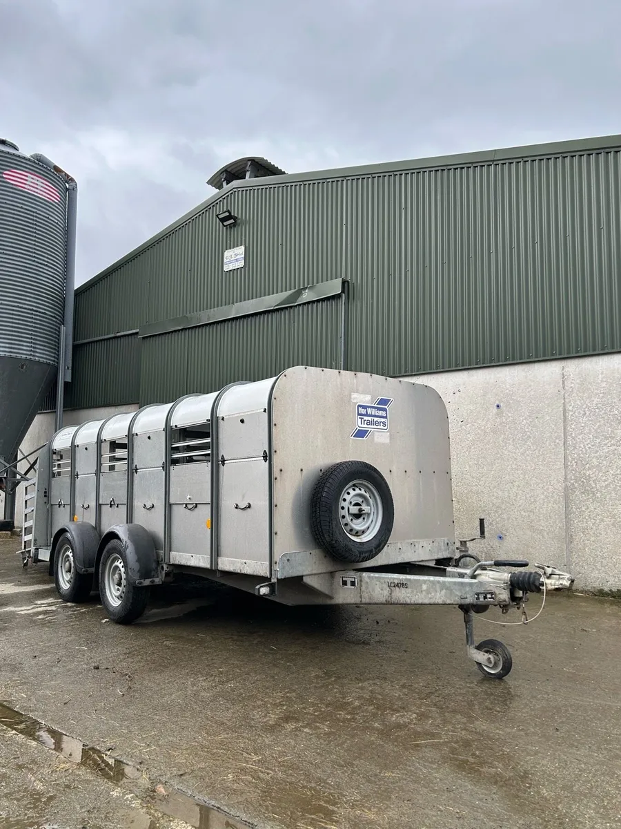 Ifor williams 12x5 - Image 1