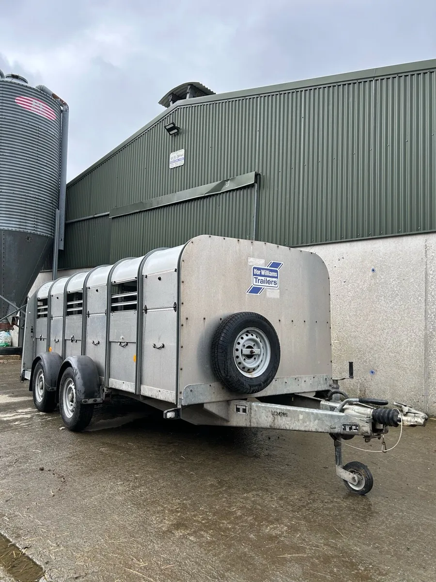 Ifor williams 12x5 - Image 2