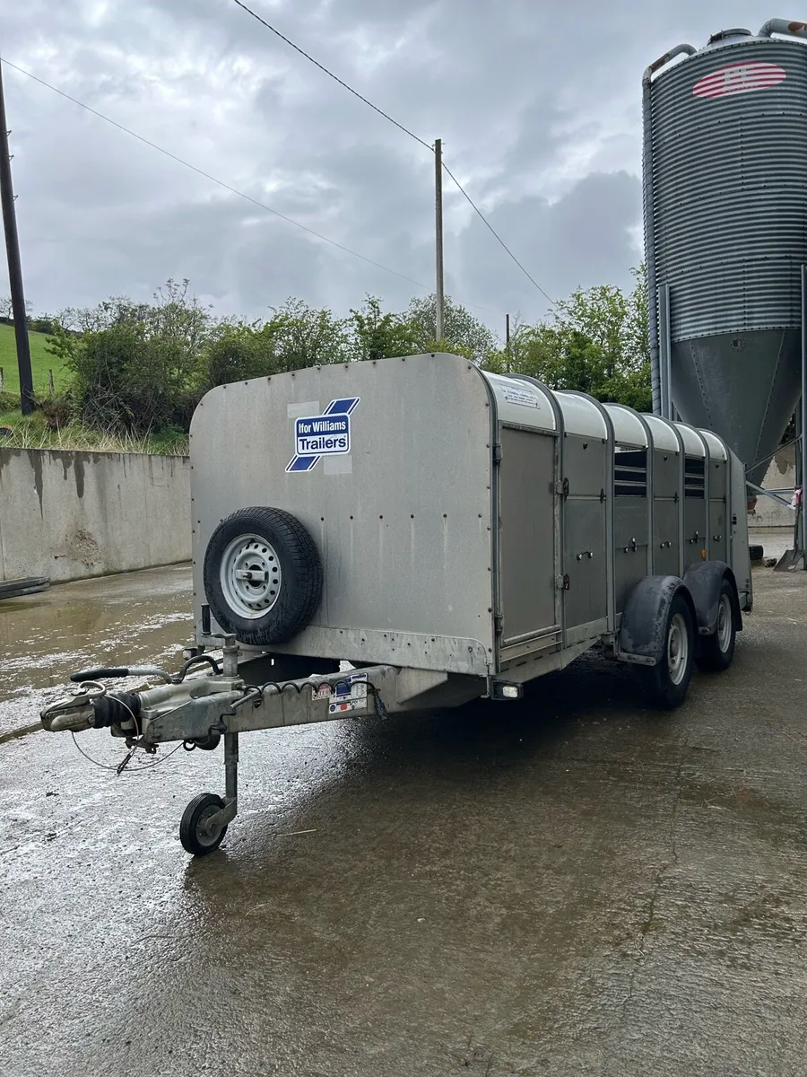 Ifor williams 12x5 - Image 3