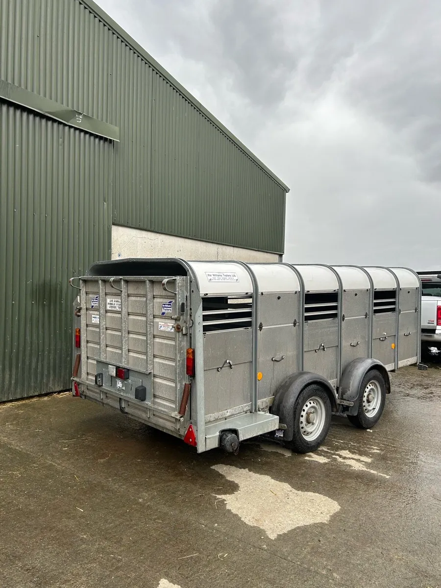 Ifor williams 12x5 - Image 4