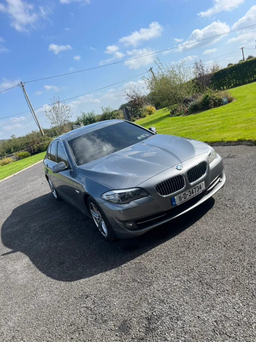 BMW 520 - Image 2