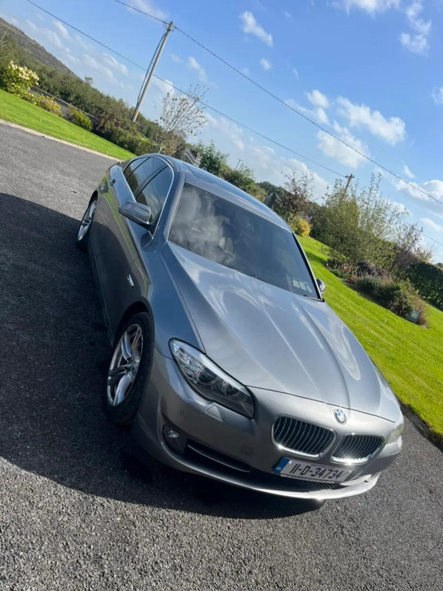 BMW 520 - Image 1