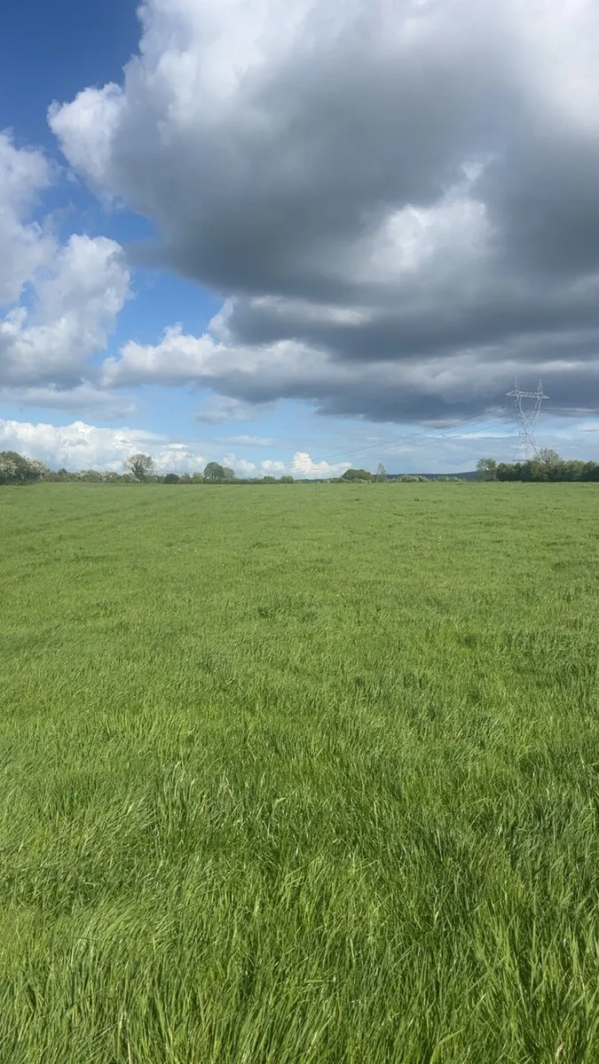Silage meadow - Image 2