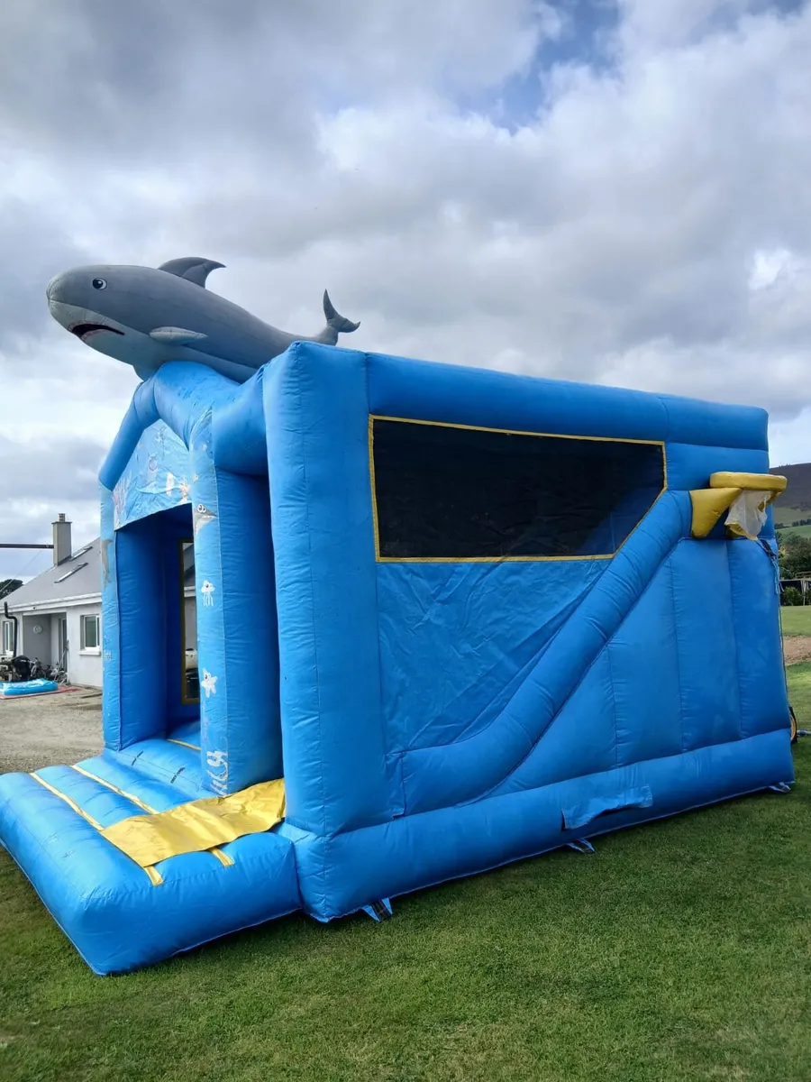 Bouncy Castles and obstacle course - Image 2