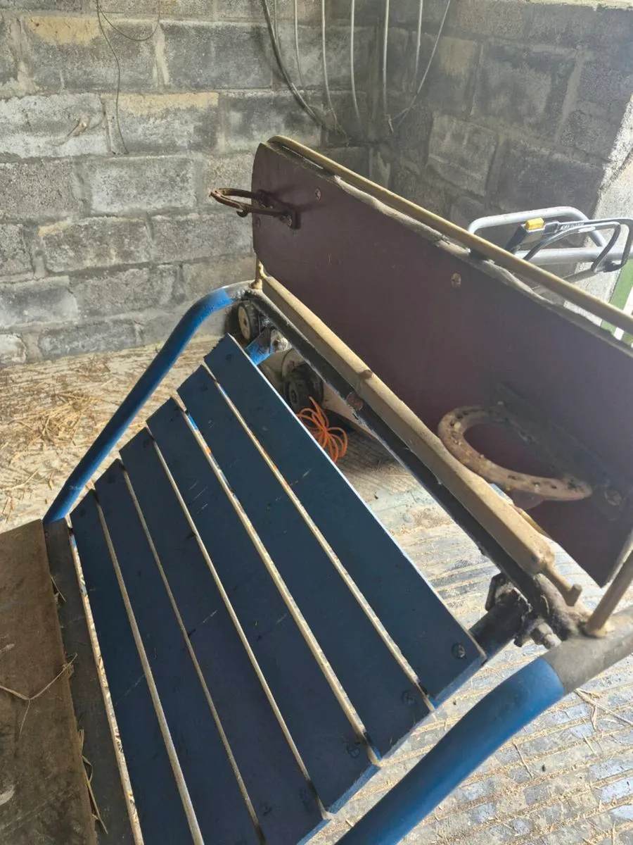 Road cart - Image 4