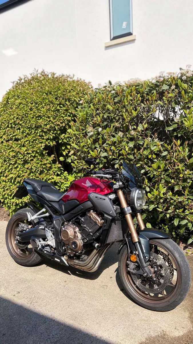 2023 CB650r - Image 1
