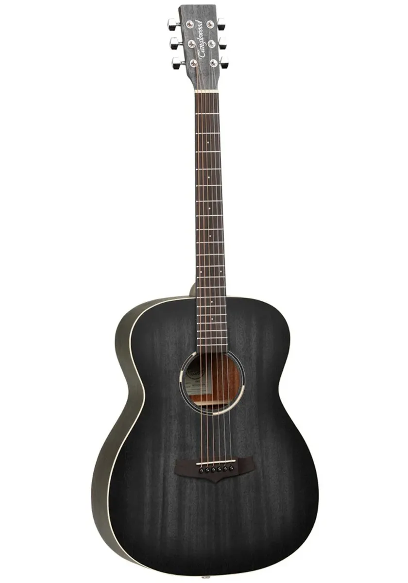 Tanglewood Blackwood Acoustic Guitar