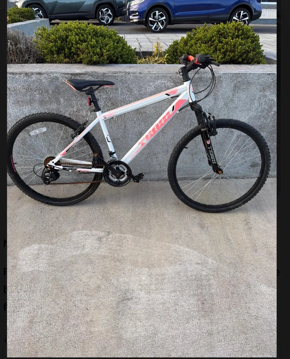 Mountain bike