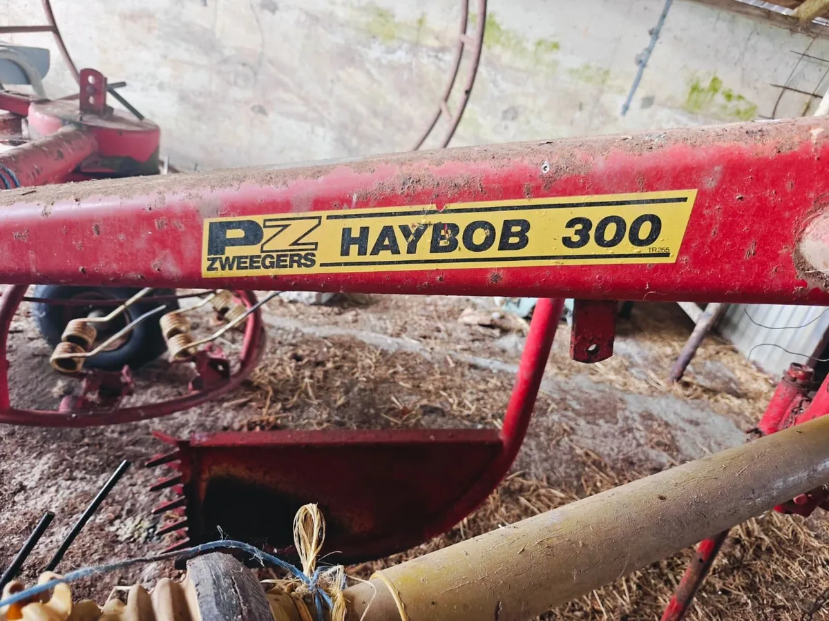 PZ Haybob - Image 4