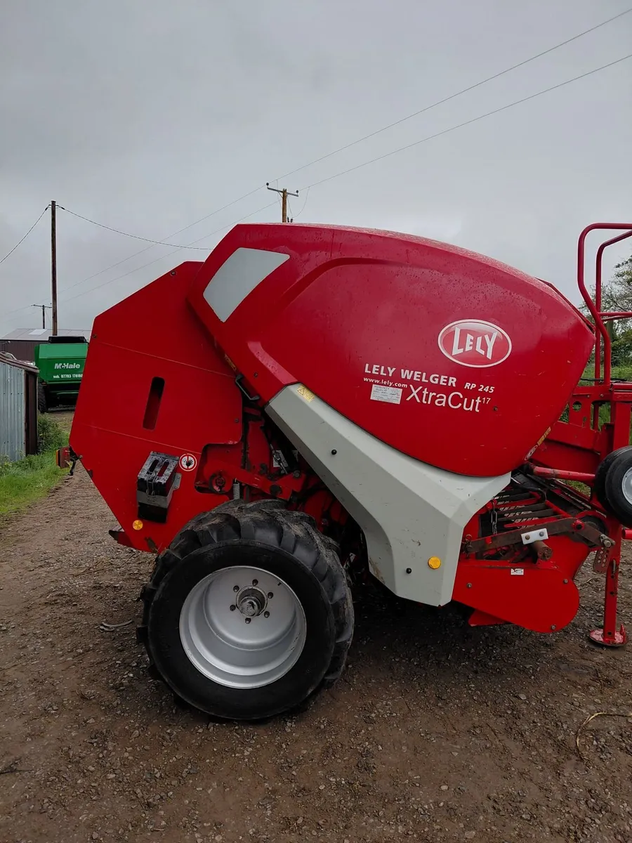 Lely - Image 4