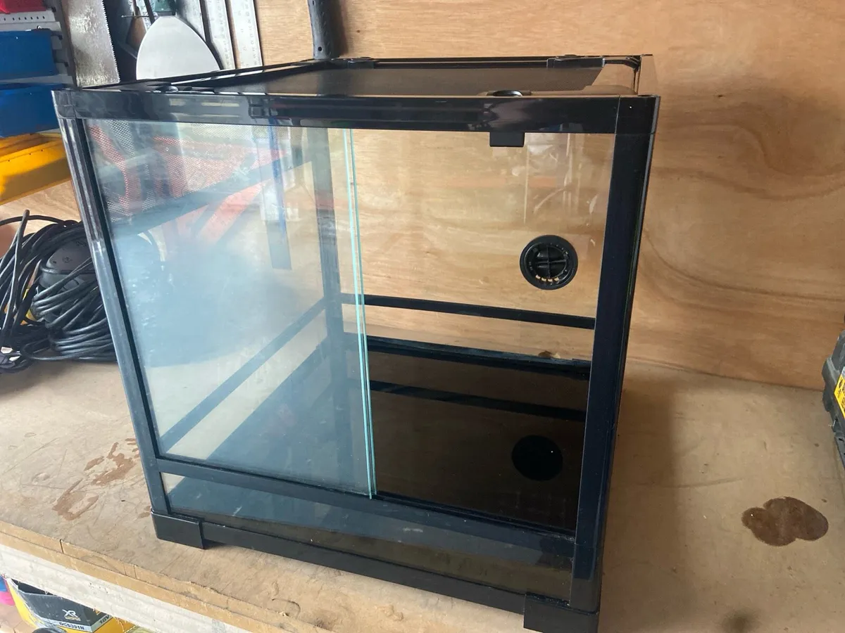Reptile terrarium - Image 2