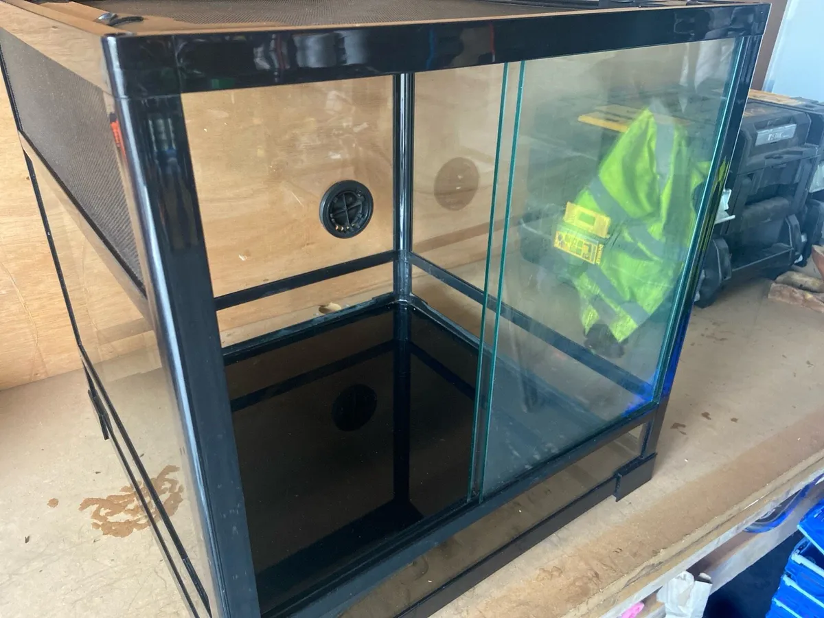 Reptile terrarium - Image 4