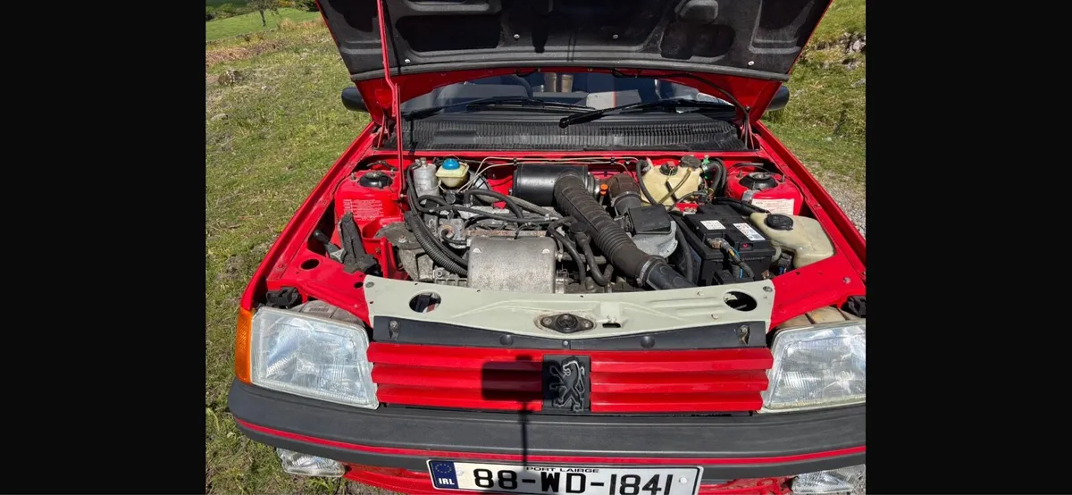 Peugeot 205 GTI - Image 3
