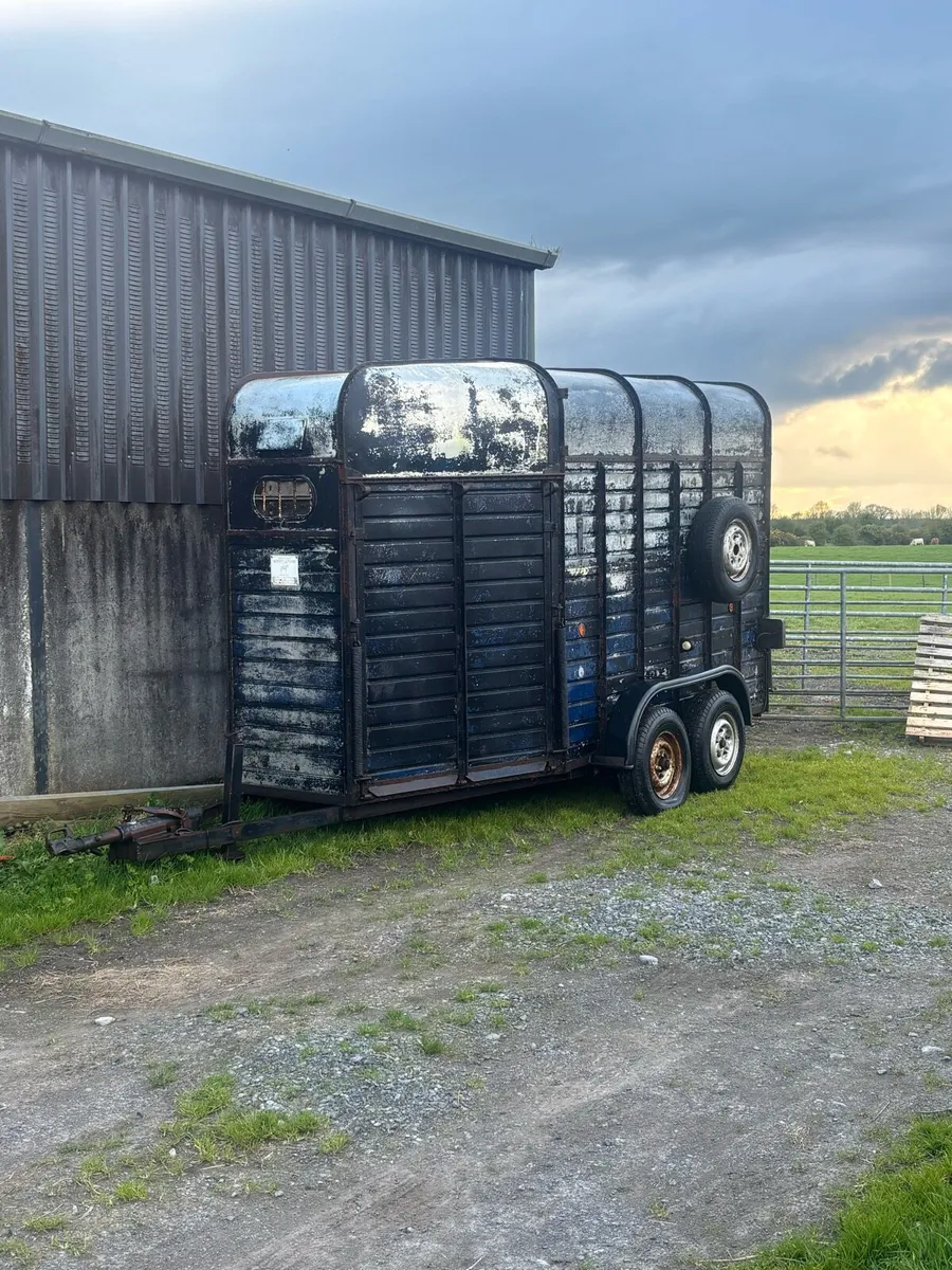Rice Horse box XL - Image 1