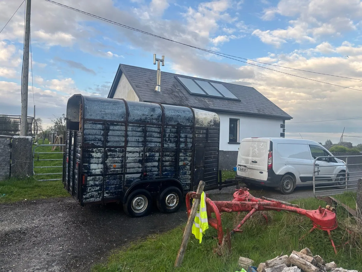 Rice Horse box XL - Image 2