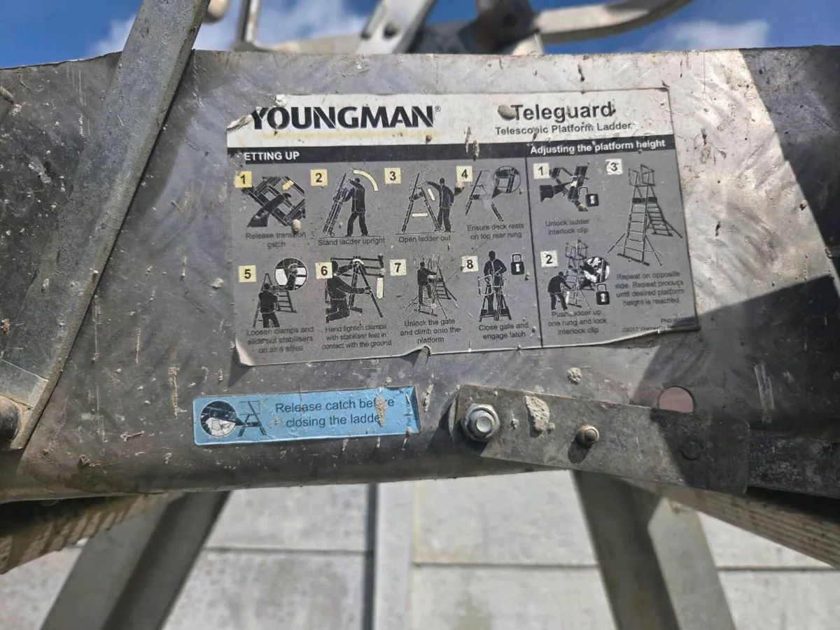 Ladder - Image 2