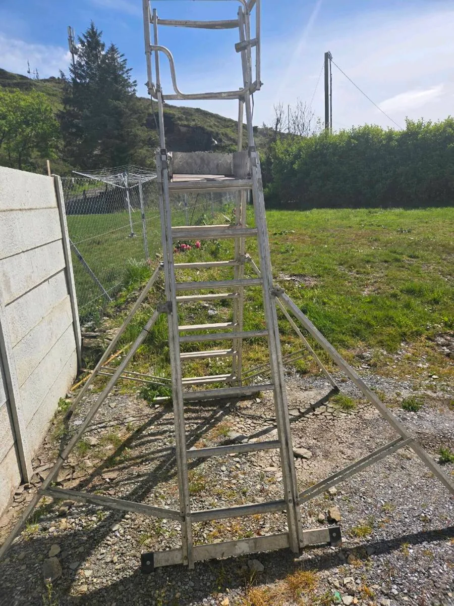 Ladder - Image 3