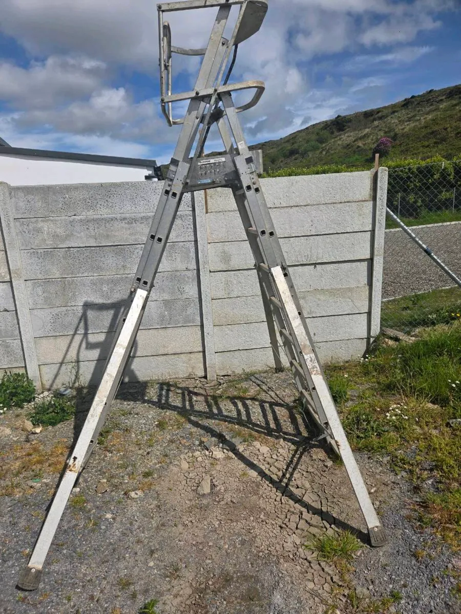 Ladder - Image 1