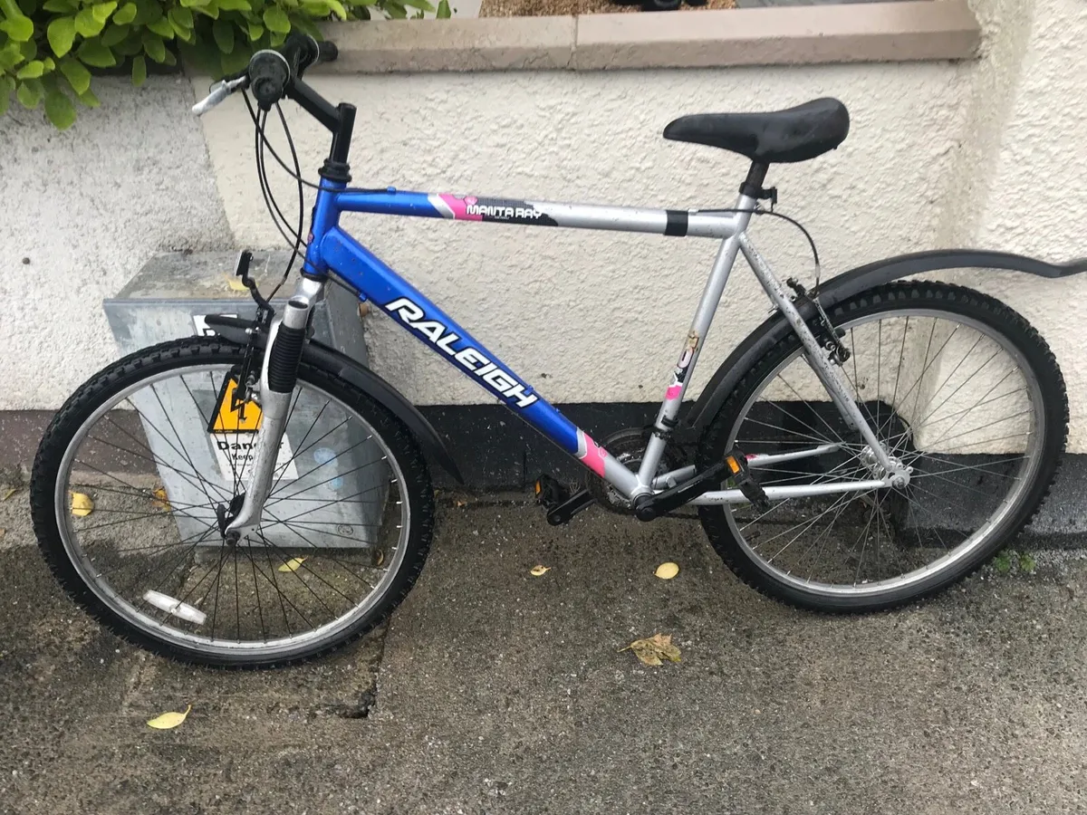 Raleigh mountain bike for sale - Image 2