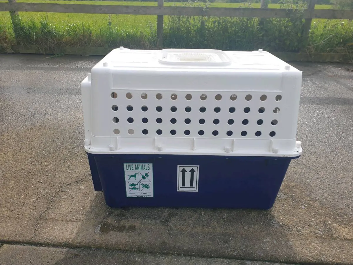 Dog Transport Box - Image 2