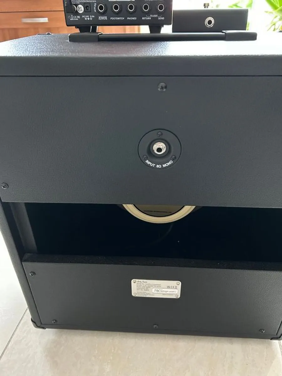 Guitar Amp and Speaker Cab - Image 4