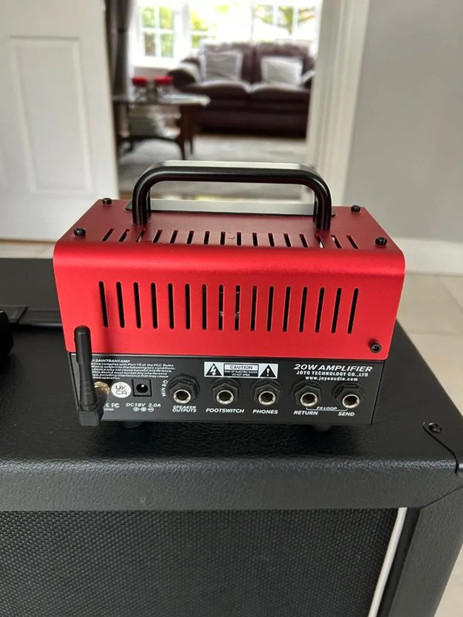 Guitar Amp and Speaker Cab - Image 3