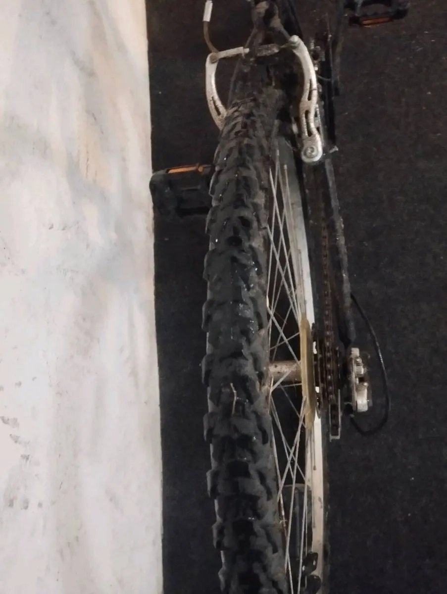 Boys 24inch bike - Image 4