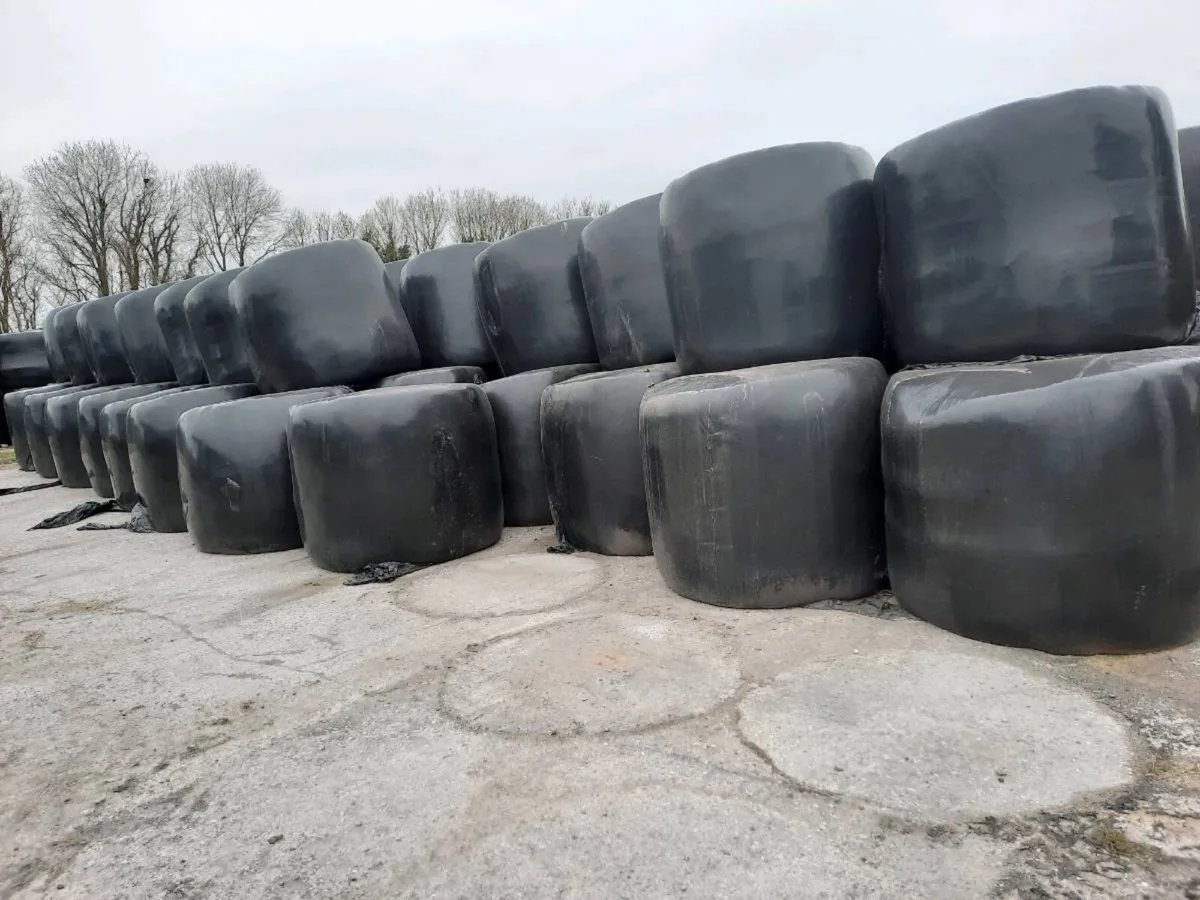 Bales - Image 1