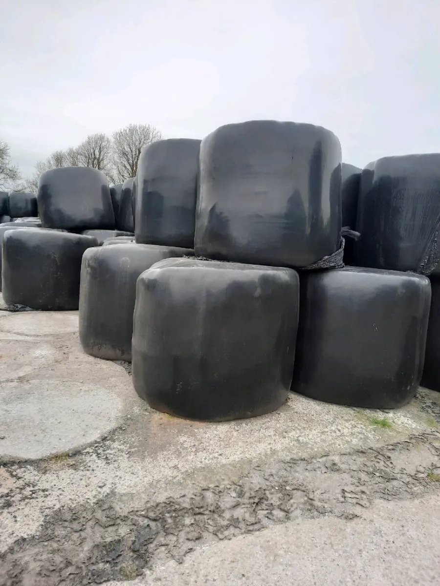 Bales - Image 2