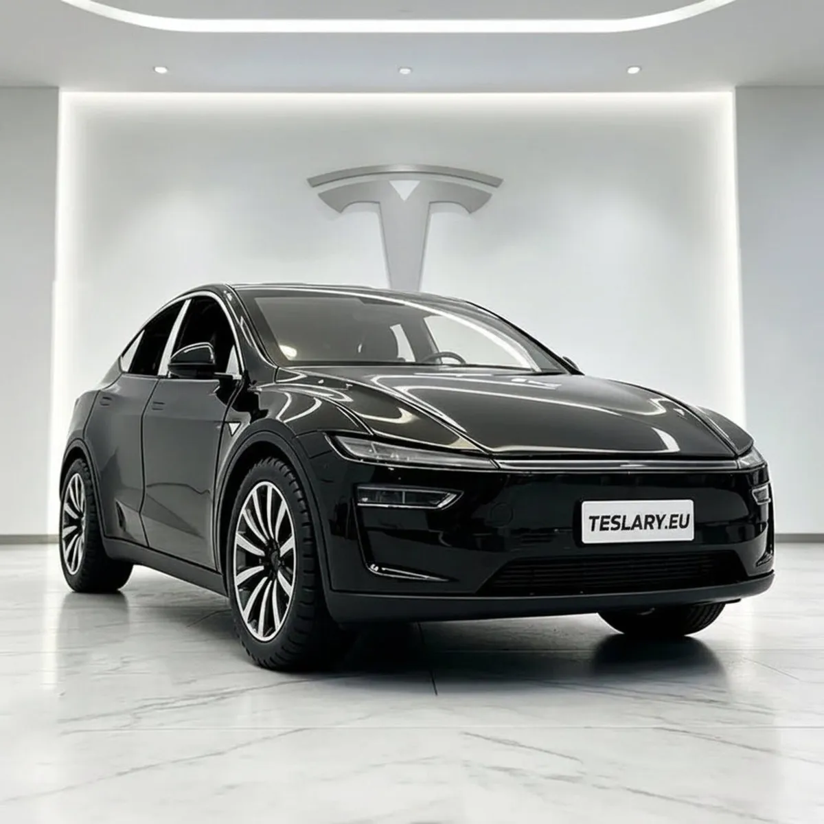 Tesla Accessories from TESLARY.IE - Image 1