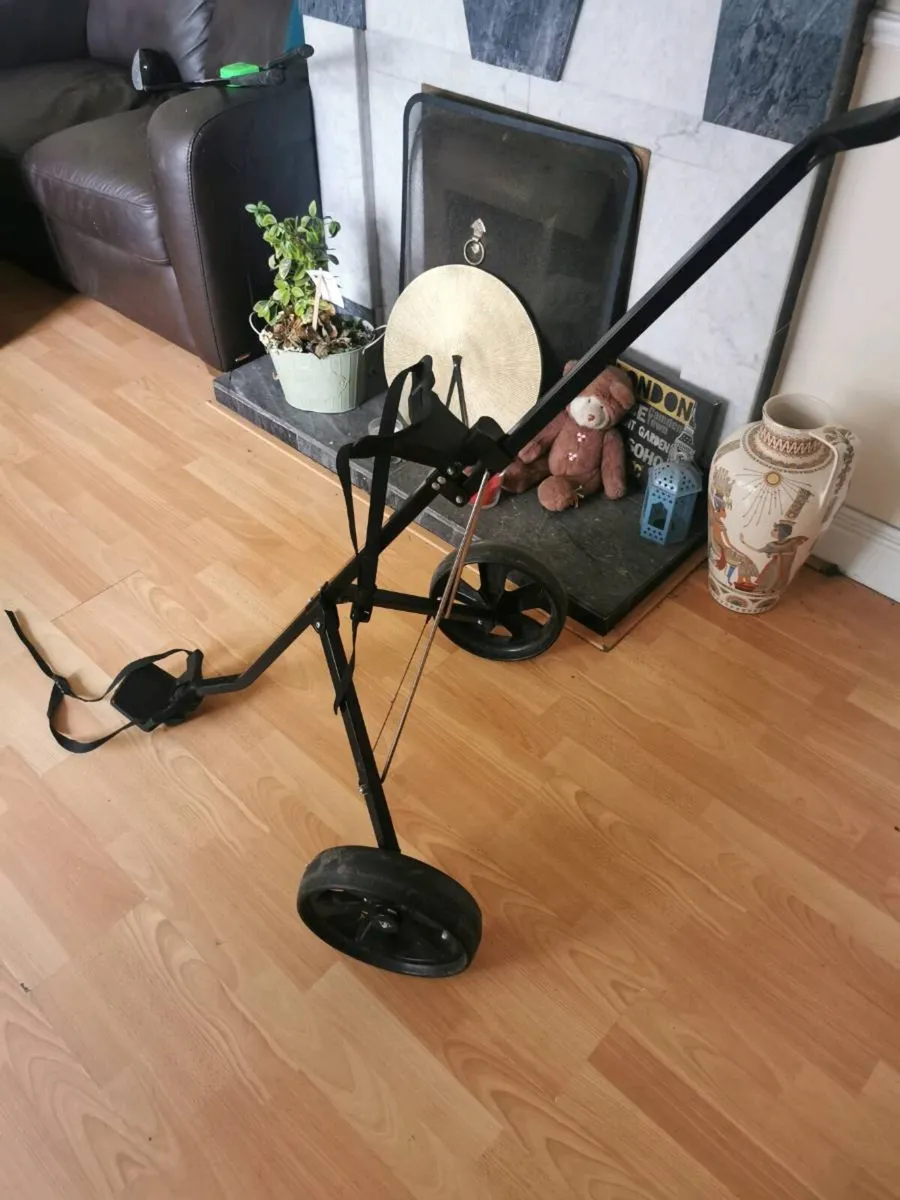Golf trolley - Image 3