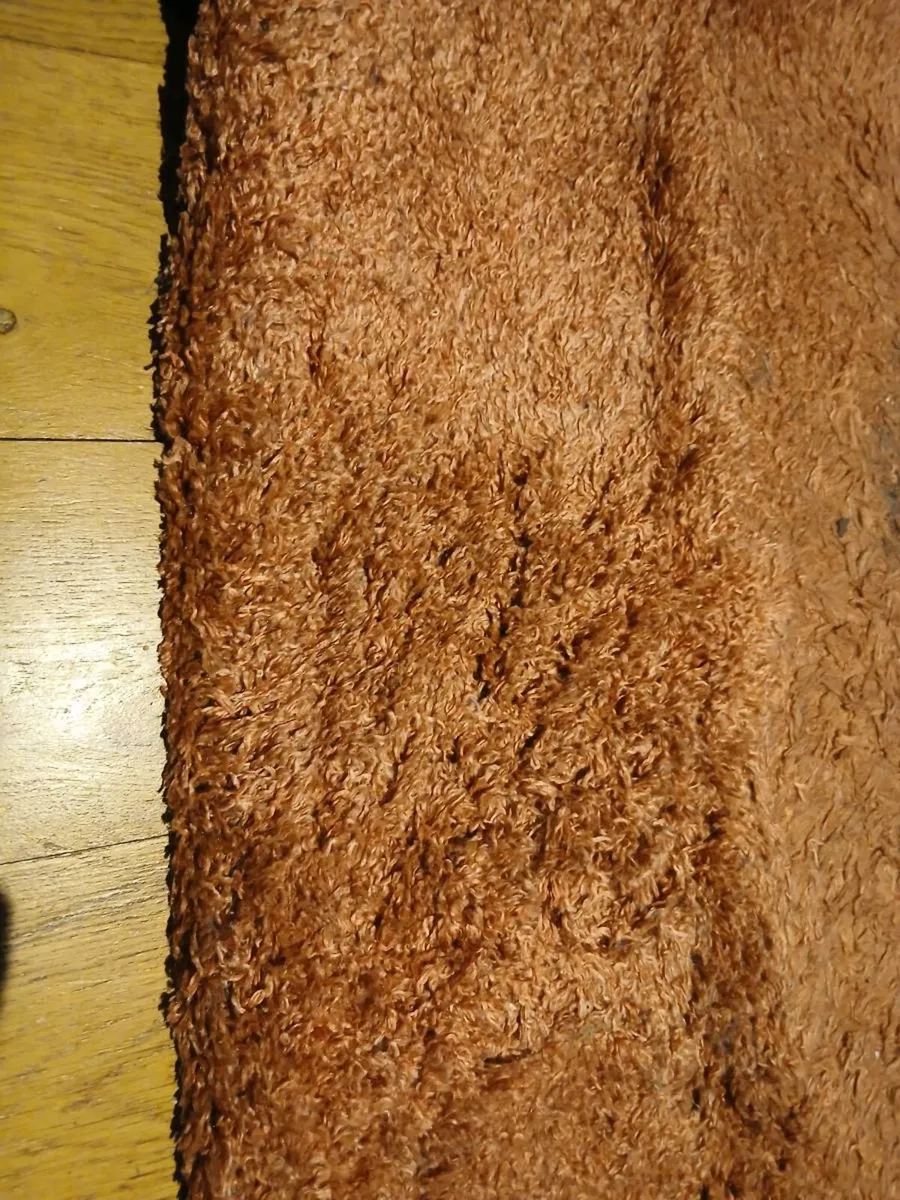 Rugs - Image 4