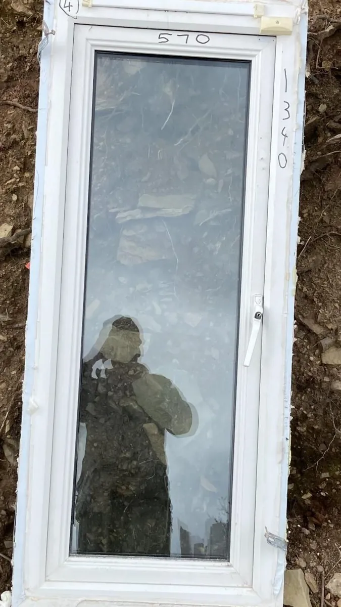 PVC windows and hardwood door for sale - Image 3