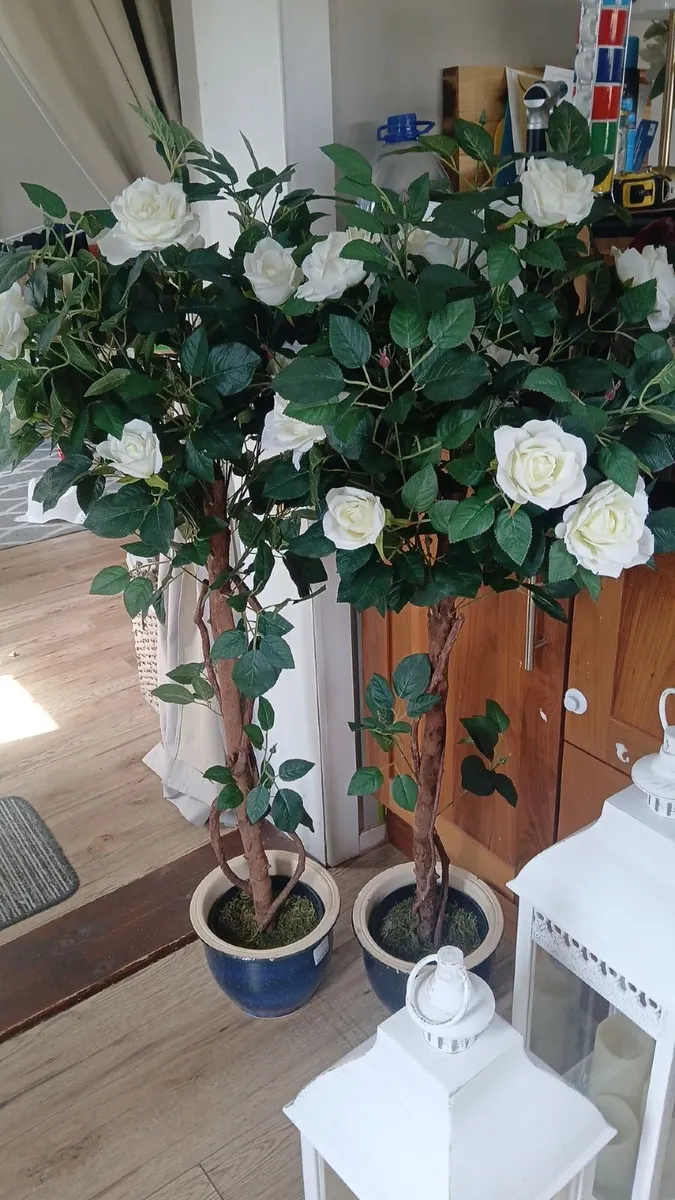 Wedding decorations - Image 1