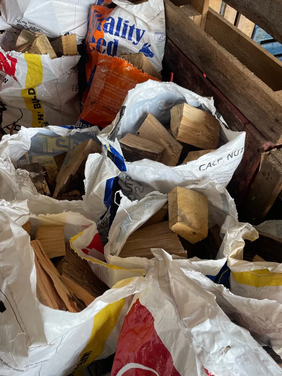 Dry firewood and kindling - Image 1