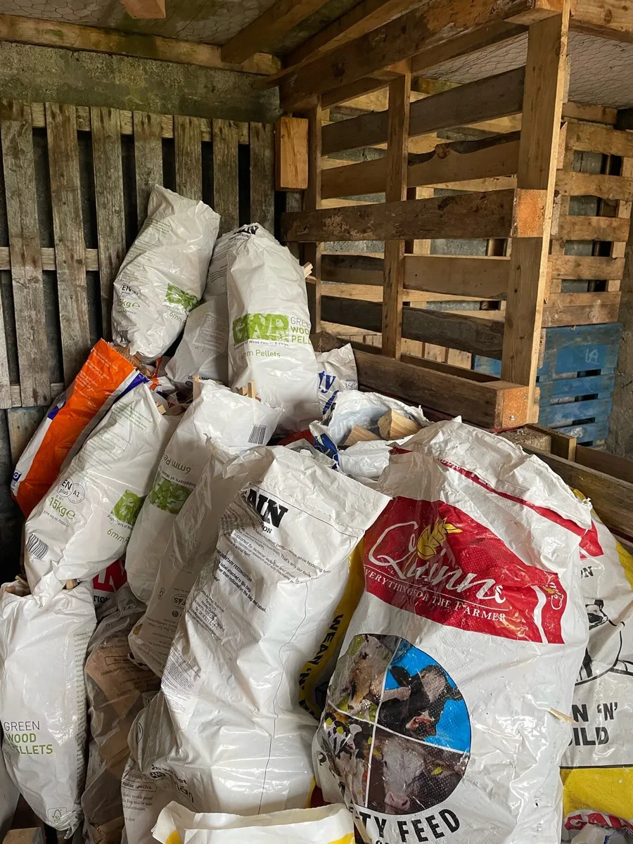 Dry firewood and kindling - Image 2