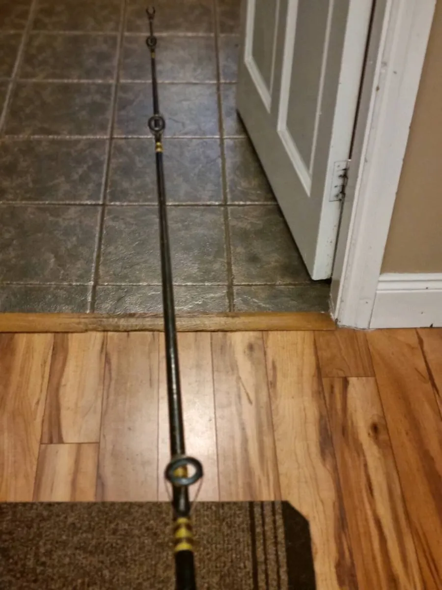 fishing rod - Image 3