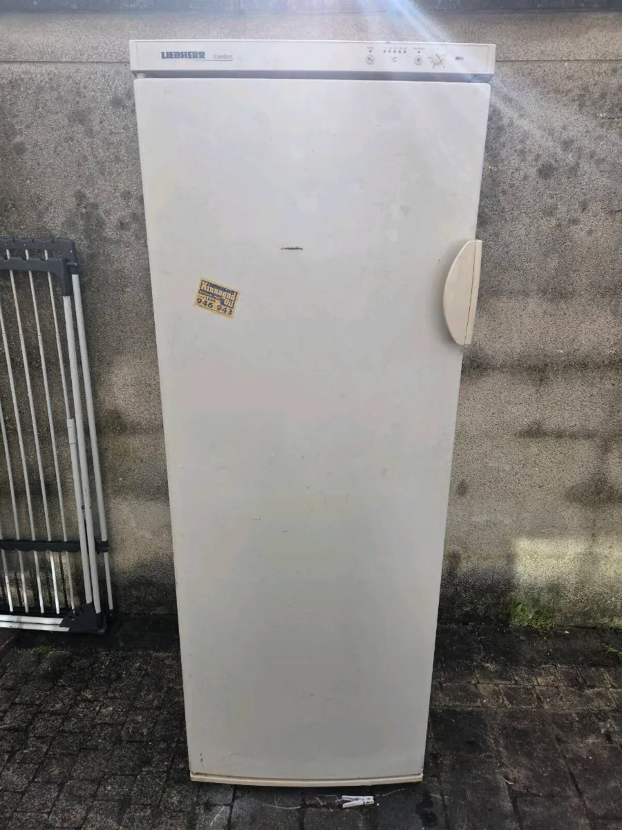 Freestanding freezer - Image 2