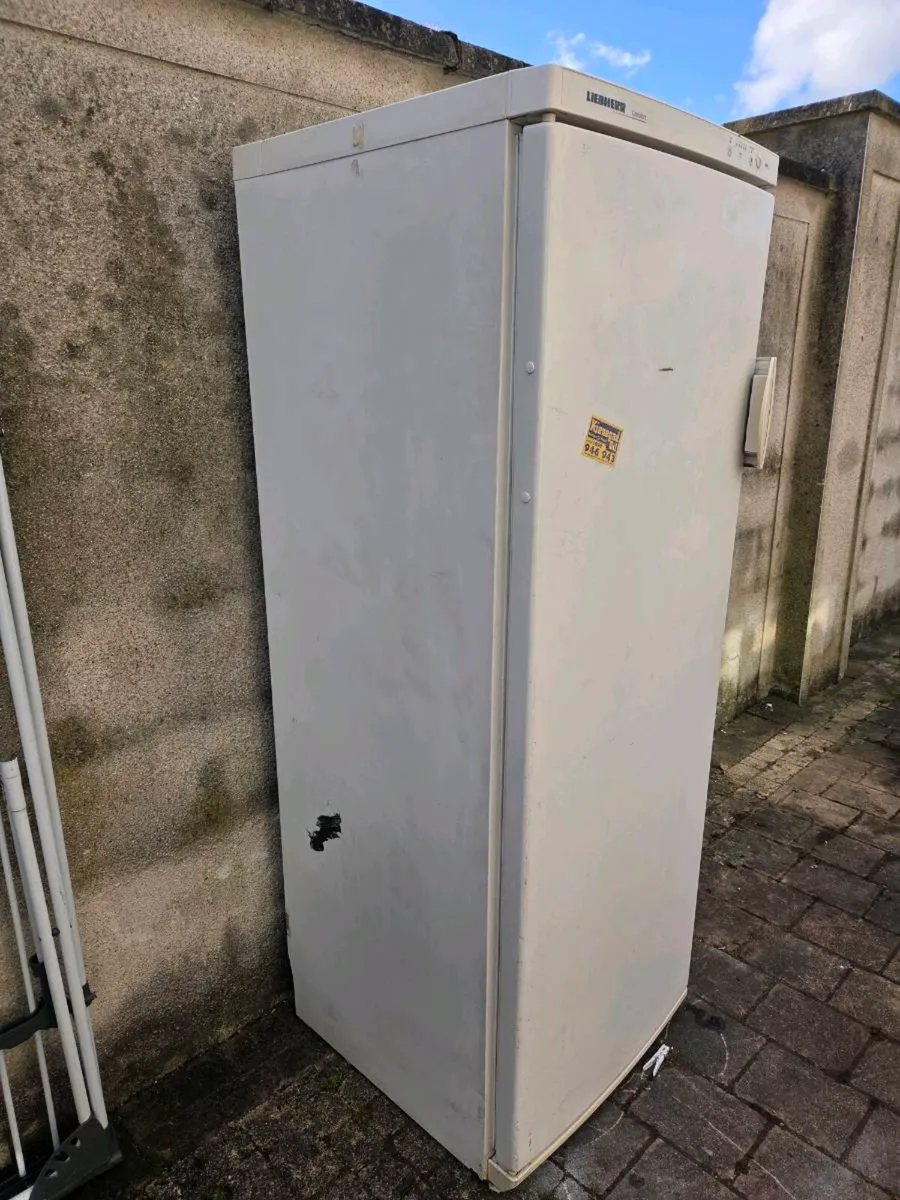 Freestanding freezer - Image 3