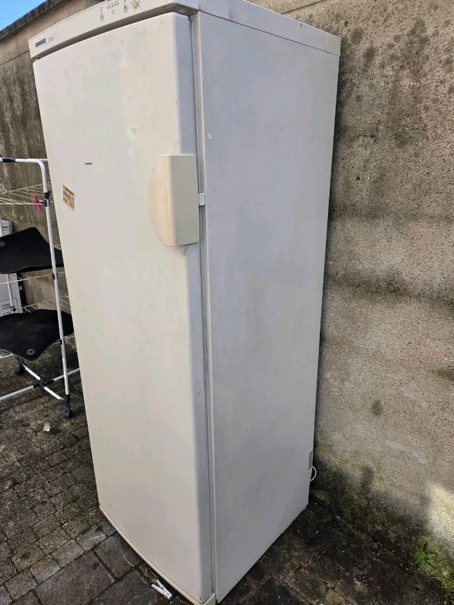 Freestanding freezer - Image 4