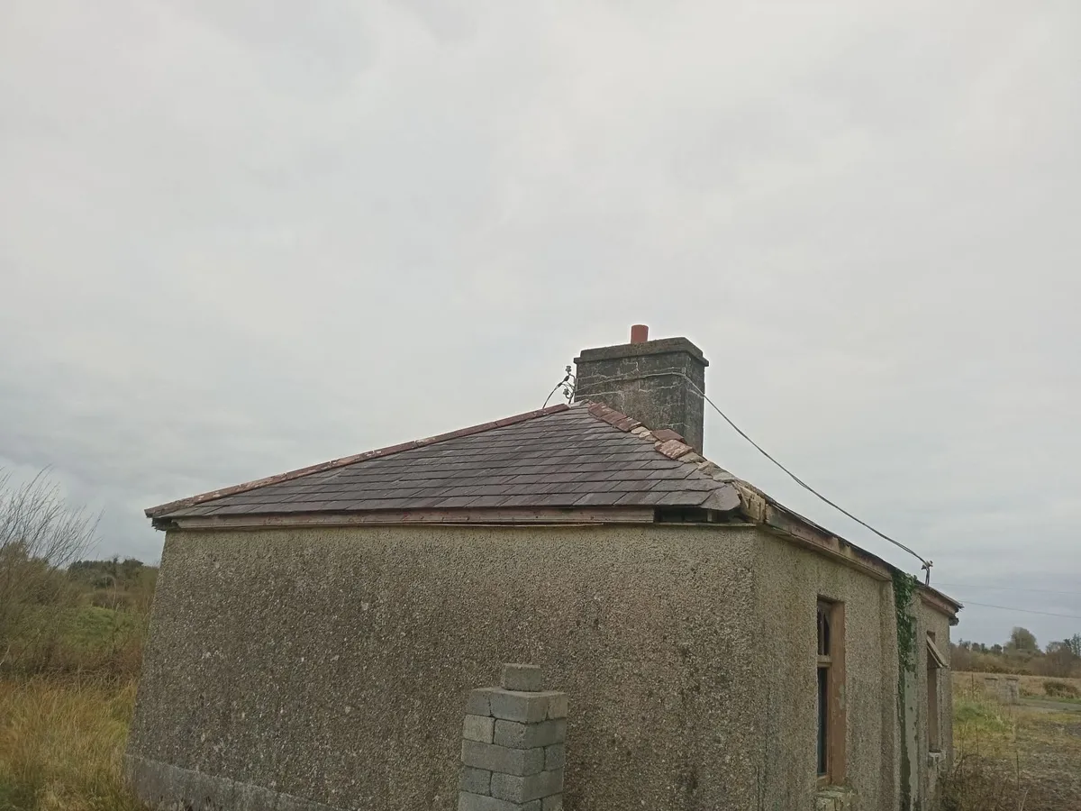 Roof slates - Image 2