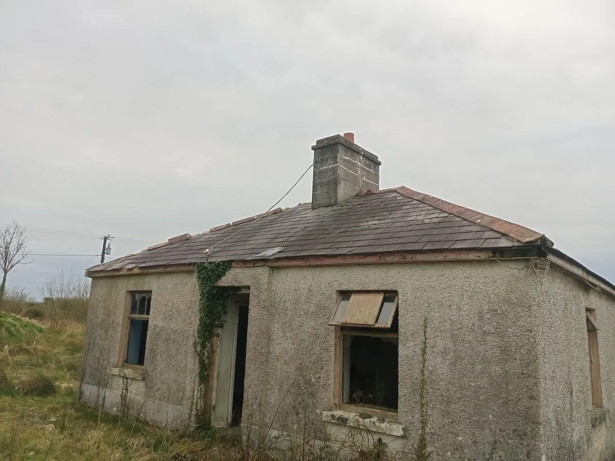 Roof slates - Image 1