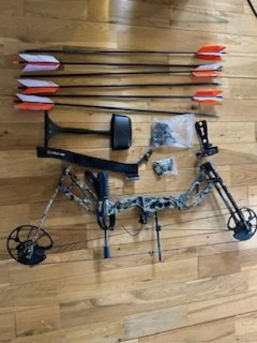 Bow and arrows - Image 1