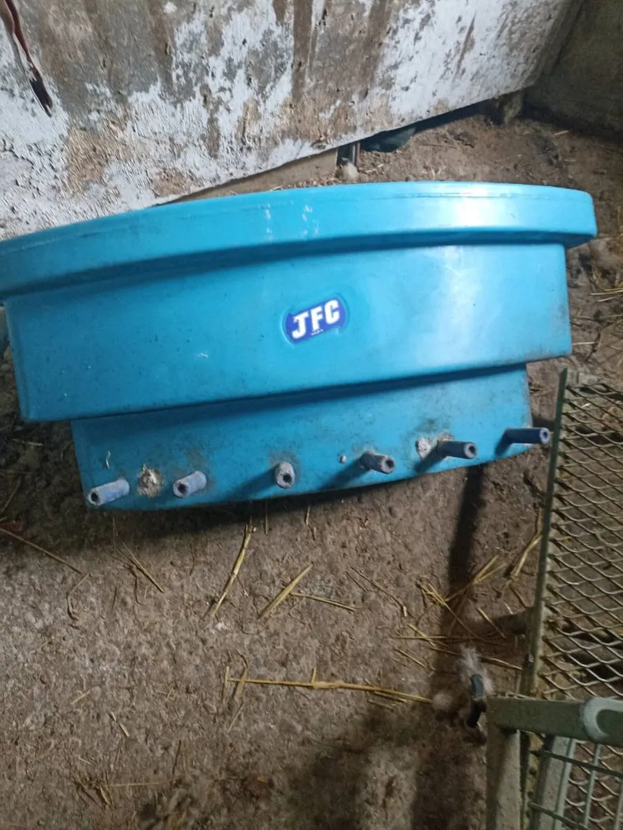 Sheep clearance - Image 2