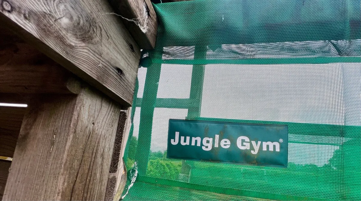 Jungle Gym - Image 2