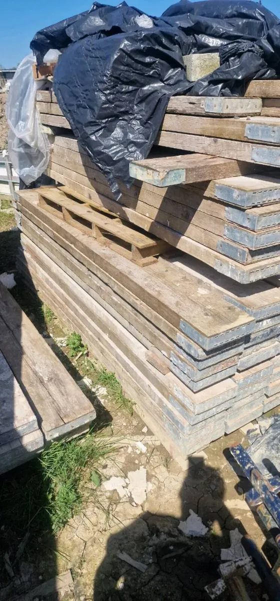 Scaffold - Image 3